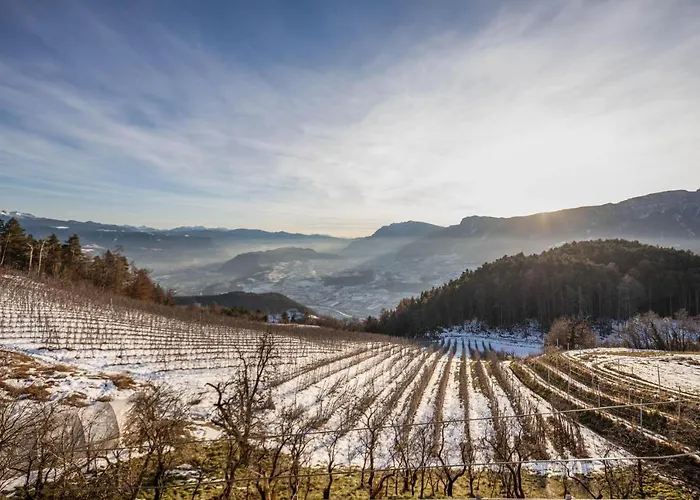 Malgorerhof Sonja 아파트